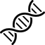 Oligonucleotides