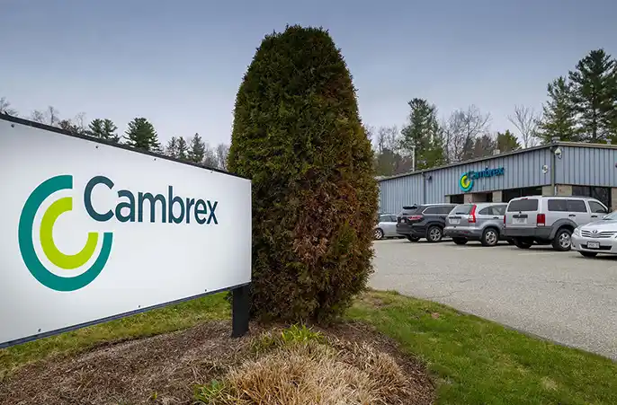 Cambrex Agawam