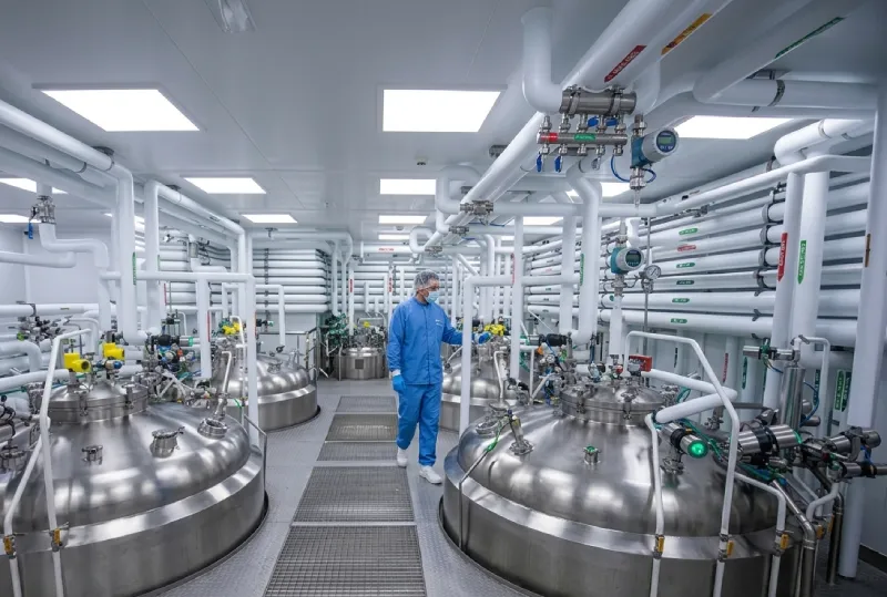 Wie CDMO-Dienstleistungen die Effizienz der pharmazeutischen Auftragsherstellung verbessern