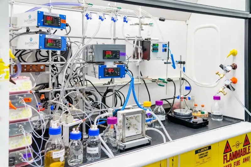Cambrex Waltham (Snapdragon Chemistry)